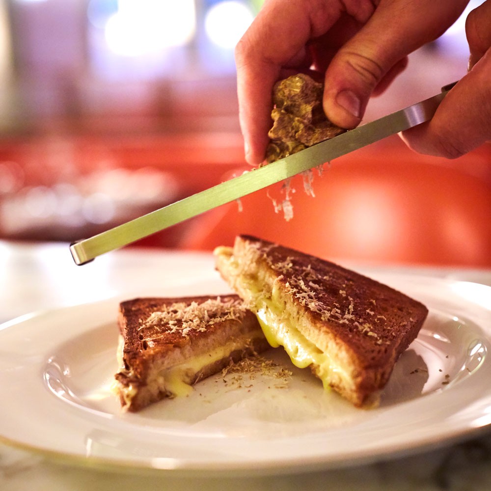 The UK’s best dogfriendly hotels Town & Country Magazine UK